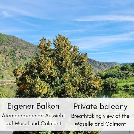 Raumwunder Im Alten Winzerhaus Am Calmont - Ganze Etage Fuer 6 *