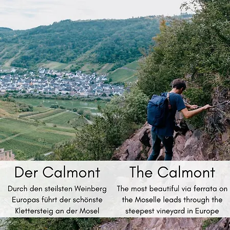 Winzerhaus Am Calmont - Raumwunder Mit Moselblick