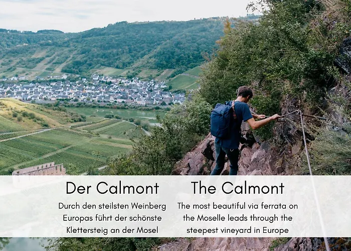 Winzerhaus Am Calmont - Raumwunder Mit Moselblick