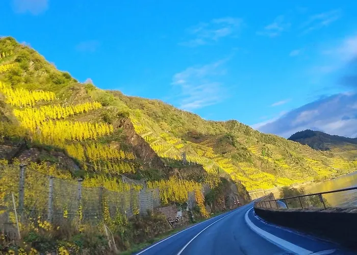Апартаменты Winzerhaus Am Calmont - Raumwunder Mit Moselblick Бремм
